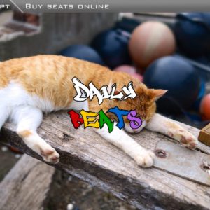 Just Chilling Rap Beat