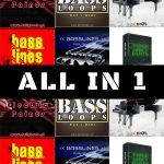 All in 1 - Sample Packs